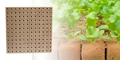 Semillero de 144 bloques de foami agricola o espuma fenólica (30x30 cm) (IVA tasa 0%)