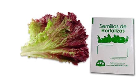 Gramo de Semilla de Lechuga Red Salad Bowl (tasa 0%)