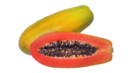 Sobre de 2,500 semillas de Papaya Red Maradol (IVA 0%)