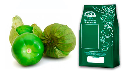 Libra (453 gr) de Semilla de Tomate Verde var. Puebla (tasa 0%)