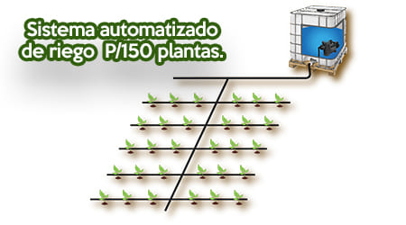 Equipo Automatizado de Riego para 150 Plantas