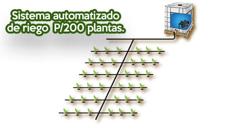 Equipo Automatizado de Riego para 200 Plantas