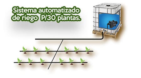 Equipo Automatizado de Riego para 30 Plantas