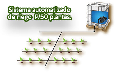 Equipo Automatizado de Riego para 50 Plantas