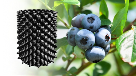 Maceta para Arándanos Air Grower de 28 litros