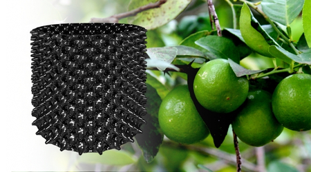 Maceta para Árboles Air Grower de 50 litros