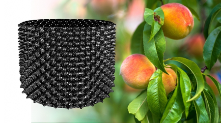 Maceta para árboles frutales Air Grower de 78 litros