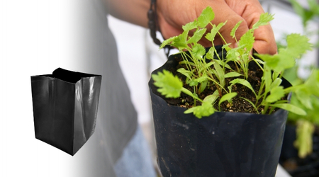 Bolsa_para_Cultivo_15x15_producto