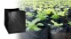 Bolsa_para_Cultivo_25x25_producto