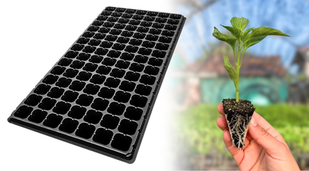 Charola de germinación de 105 Cavidades