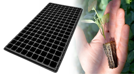 Charola de germinación de 162 Cavidades