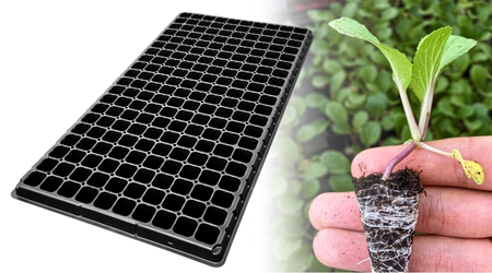 Charola de germinación de 200 Cavidades