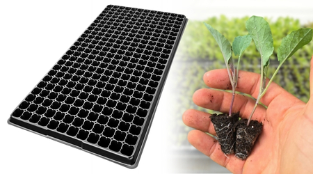 Charola de germinación de 288 Cavidades