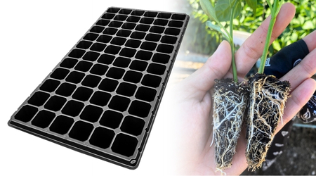 Charola de germinación de 72 Cavidades