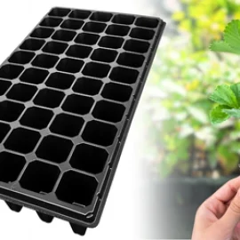 Charola de germinación para Berries de 50 Cavidades