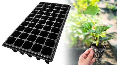 Charola de germinación para Berries de 50 Cavidades