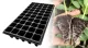 Charola_para_germinar_Forestal_50cav_producto