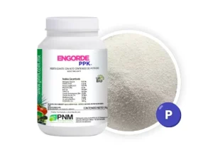 Fertilizantes para Engorde