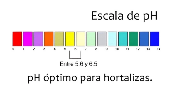 ¿Qué es el pH en hidroponía?