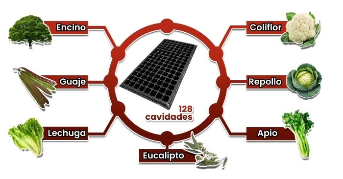 Grafico_Ideal_para_Charolas_128cav