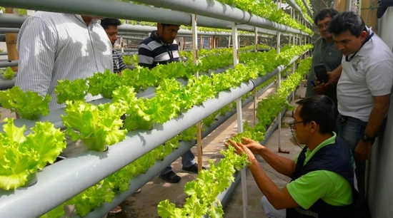 Guía práctica: limpieza del sistema NFT paso a paso