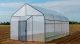 Invernadero Mini Green 6x10 m (60m2) Túnel Agrícola