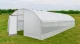Invernadero Hidropónico Tipo Túnel 5x12 m: Perfecto para FVH y Cultivo de Hortalizas