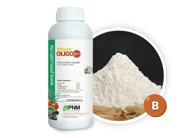 Phyto Oligo Boro
