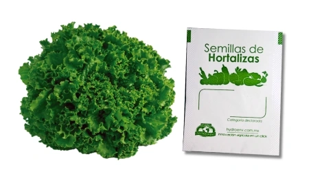 Gramo de Semilla Peletizada de Lechuga Italiana Variedad Isabel