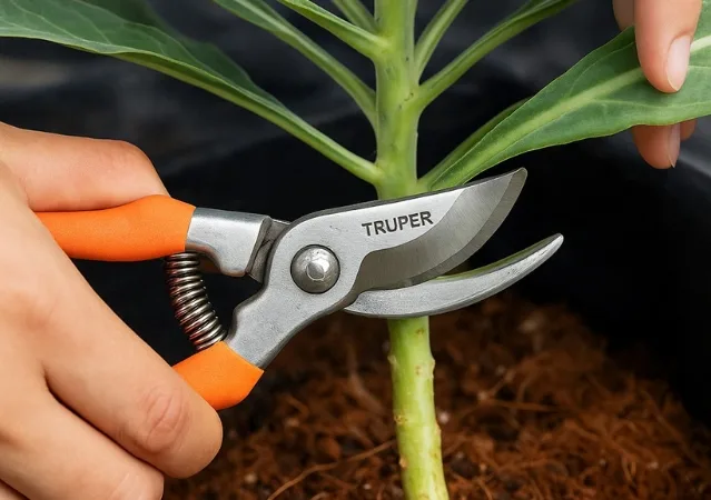 uso Tijeras para Poda de 8 1/2 Pulgadas de Acero Templado