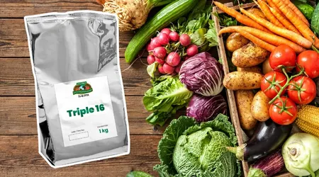 Fertilizante Soluble Triple 16 por Kilogramo