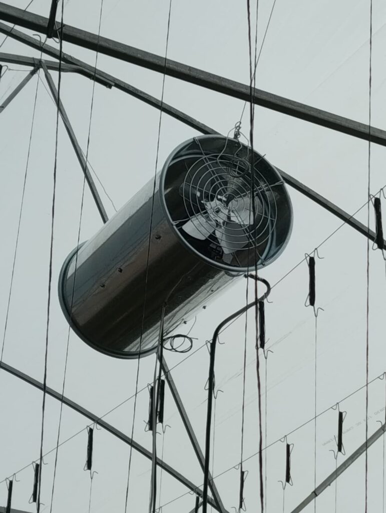 Colocación de un calefactor centinela para invernadero