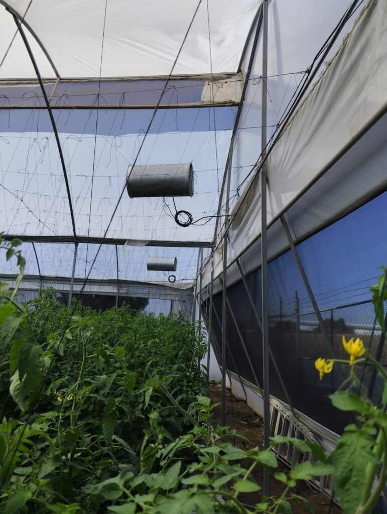 Calefactores centinela dentro de un invernadero calefacción para invernadero