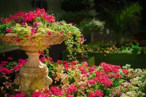 floricultura para paisajismo
