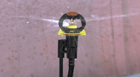 Uso Micro Aspersor de 1/2 pulgada
