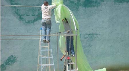 Producción en invernadero, plásticos para invernadero. 