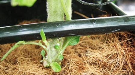 Equipo Automatizado de Riego para 30 Plantas