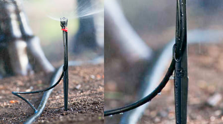 Uso de Estaca de 30 cm para Riego