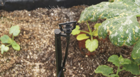 Uso Micro Aspersor Vertical de 25