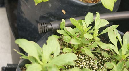 Tapón de línea de riego