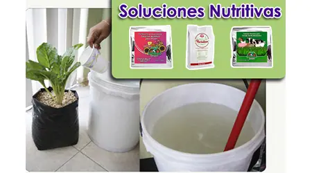 Guía de soluciones nutritivas