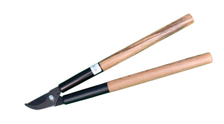 tijera para ramas 16
tijera podadora para ramas
tijera para ramas gruesas
tijera para poda de árboles
tijera para ramas altas
tijera podadora manual
tijera para poda de arbustos
tijera de poda larga
tijera para poda de árboles frutales
tijera podadora para jardín