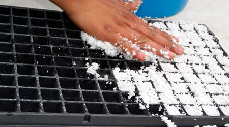 llenado de semillero con sustrato para siembra