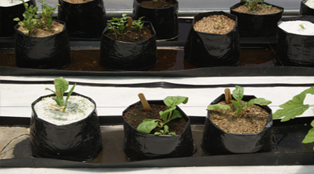 Canaletas hidropónicas para bolsas de cultivo