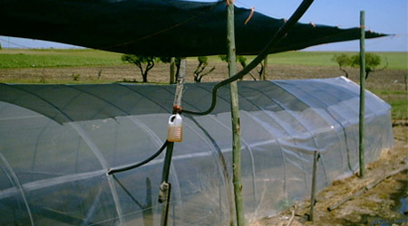 malla sombra monofilamento fuera de un invernadero para protección climática