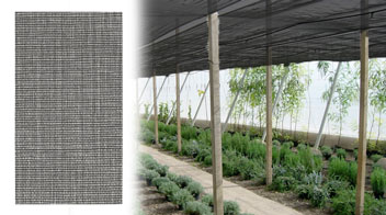 malla sombra para vivero forestal