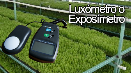 luxometro lucsometro digital