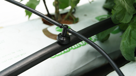 Ejemplo de instalación de sistema de riego localizado con conector doble para microtubo 5 mm