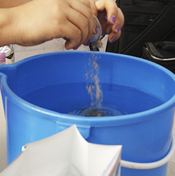 Preparación de la solución nutritiva Hoagland