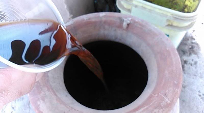 Té de humus liquido